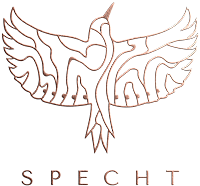 Specht